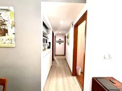 The Raintree (D21), Condominium #557145911